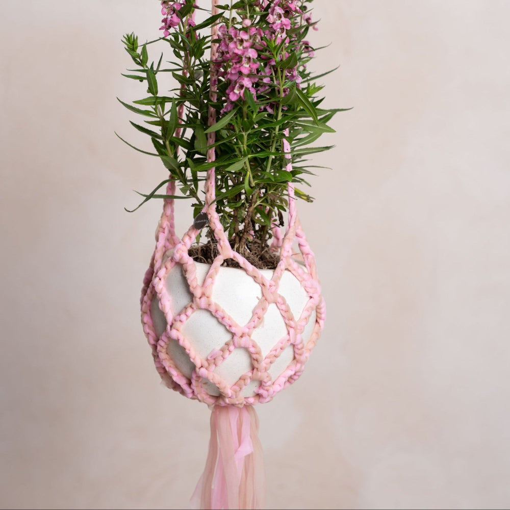 Paani Color Plant Hanger