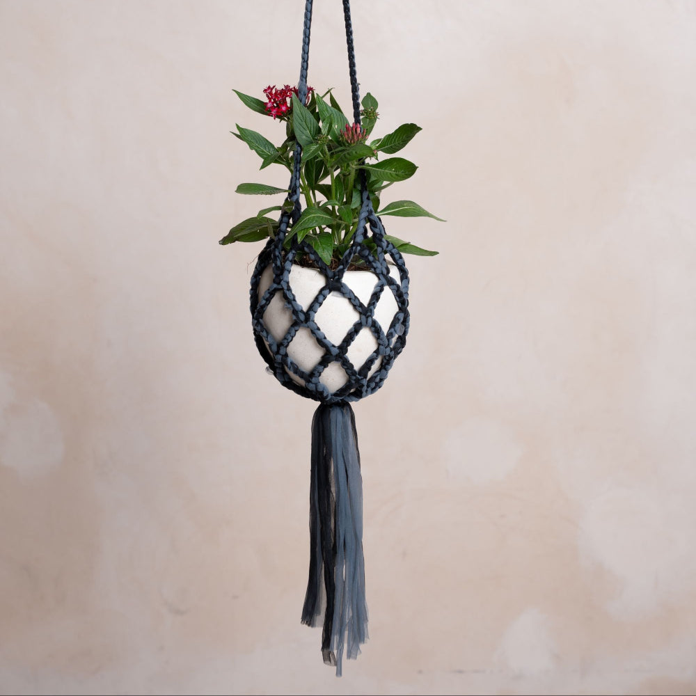 Paani Color Plant Hanger