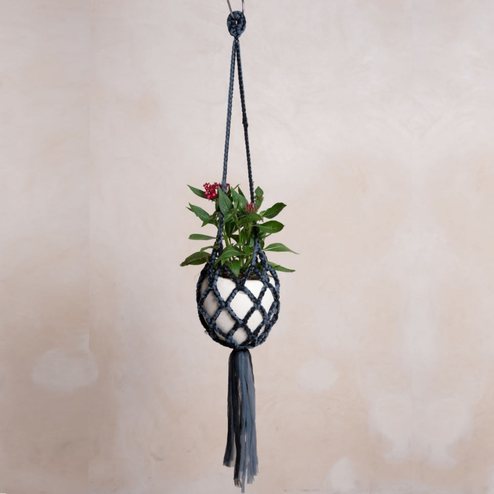 Paani Color Plant Hanger