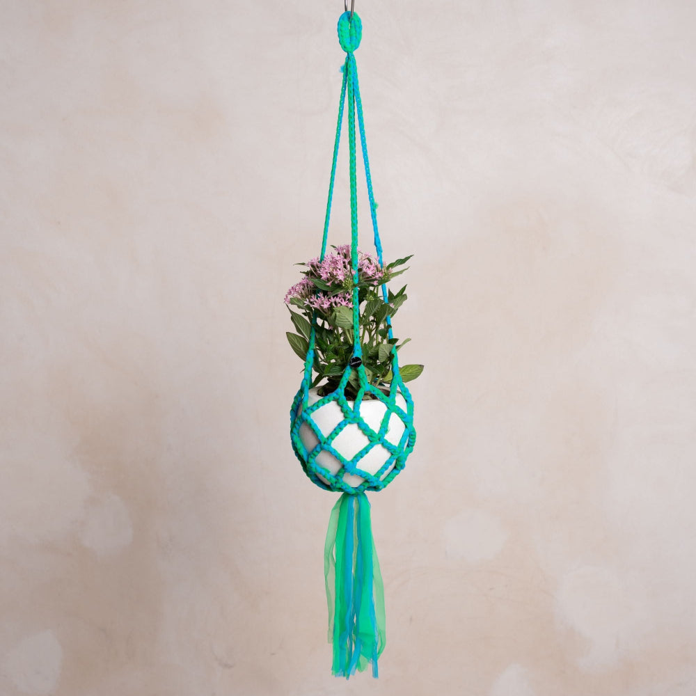 Paani Color Plant Hanger