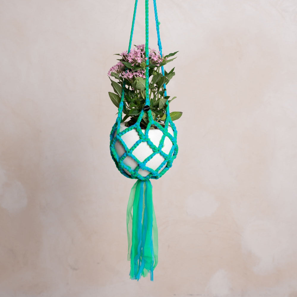 Paani Color Plant Hanger