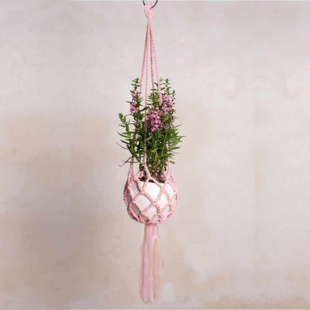Paani Color Plant Hanger